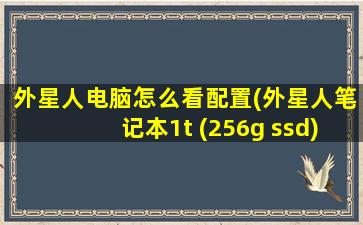 外星人电脑怎么看配置(外星人笔记本1t (256g ssd)、1t HDD是什么意思)